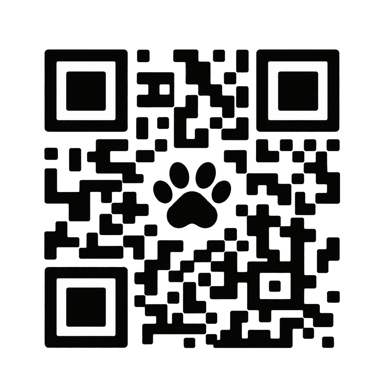 Código QR de Modo Perdido